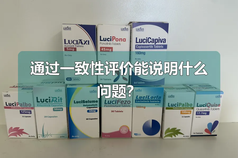 通过一致性评价能说明什么问题?
